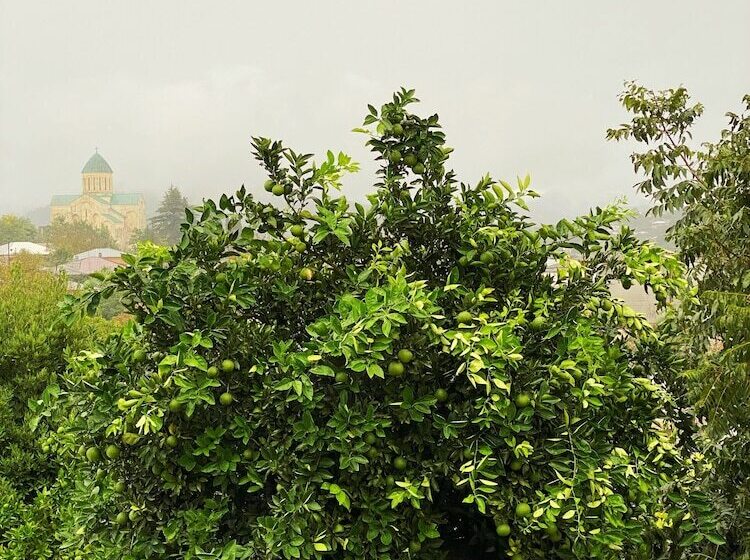 پانسیون Orange Kutaisi