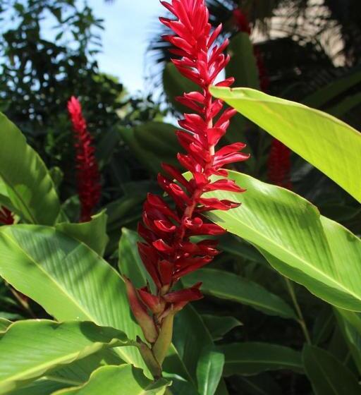 Pension Pousada North Shore Maresias   Casas De 2 Quartos   80 M2  2 Banheiros  Piscina 1 Q Da Praia   Estac