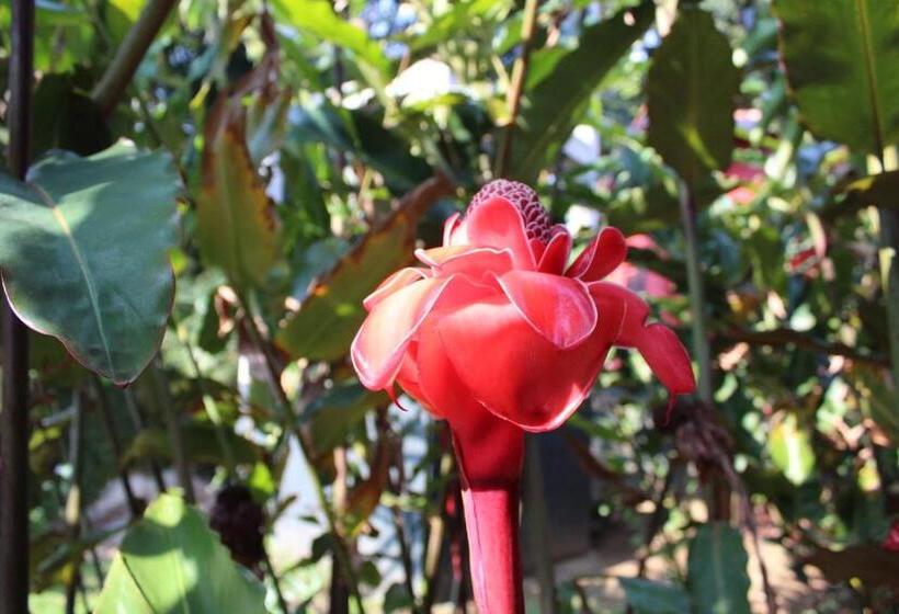 Pension Pousada North Shore Maresias   Casas De 2 Quartos   80 M2  2 Banheiros  Piscina 1 Q Da Praia   Estac