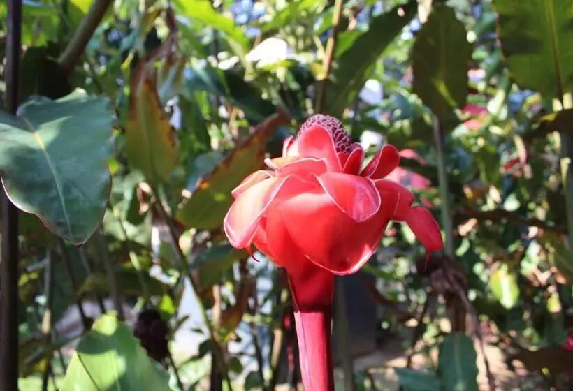 Majatalo Pousada North Shore Maresias   Casas De 2 Quartos   80 M2  2 Banheiros  Piscina 1 Q Da Praia   Estac