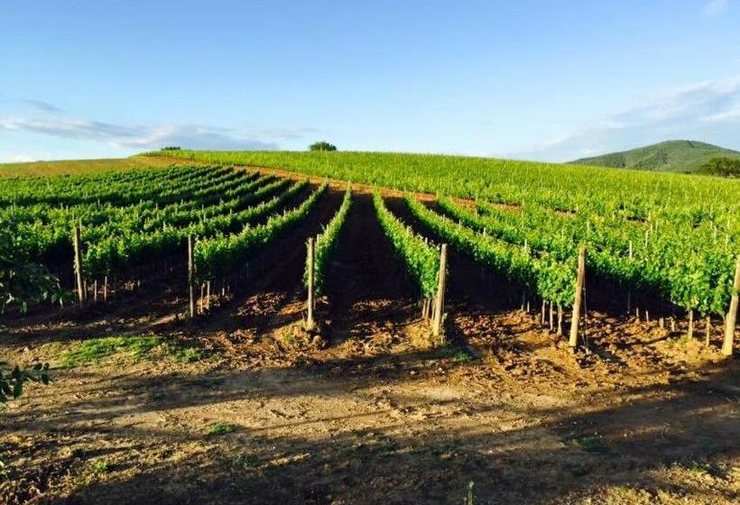 호텔 Il Casale Degli Olivi