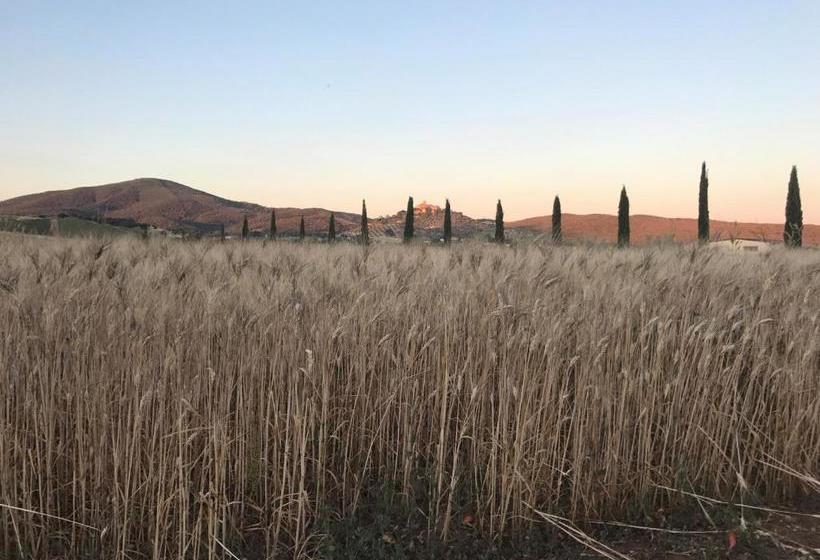 호텔 Il Casale Degli Olivi