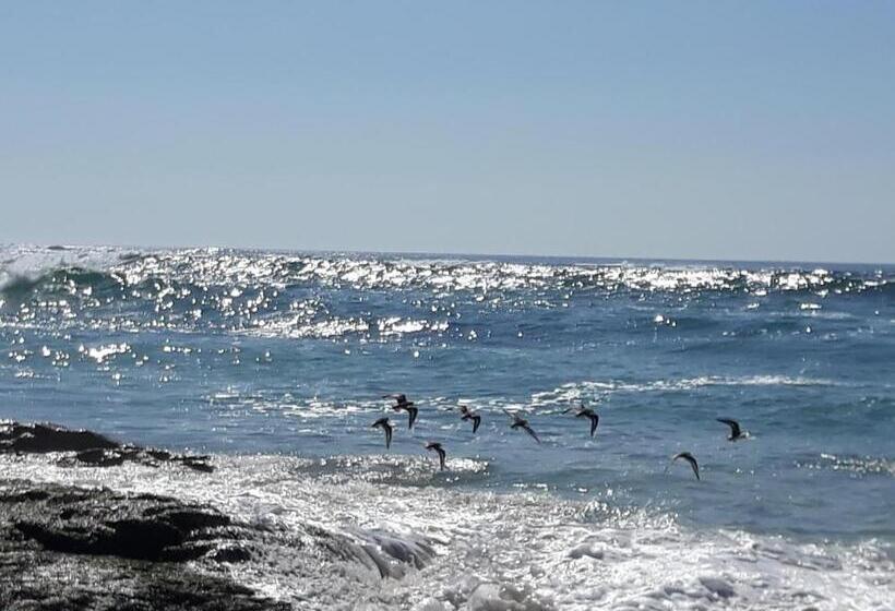 Пансион Hostal Balieiros Corrubedo