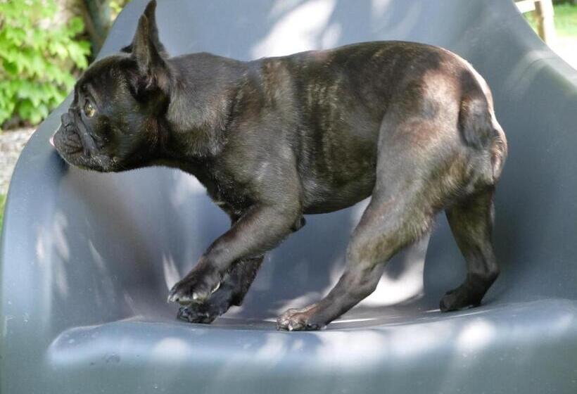 B&b Villa Dei Calchi Suite Room Di Charme