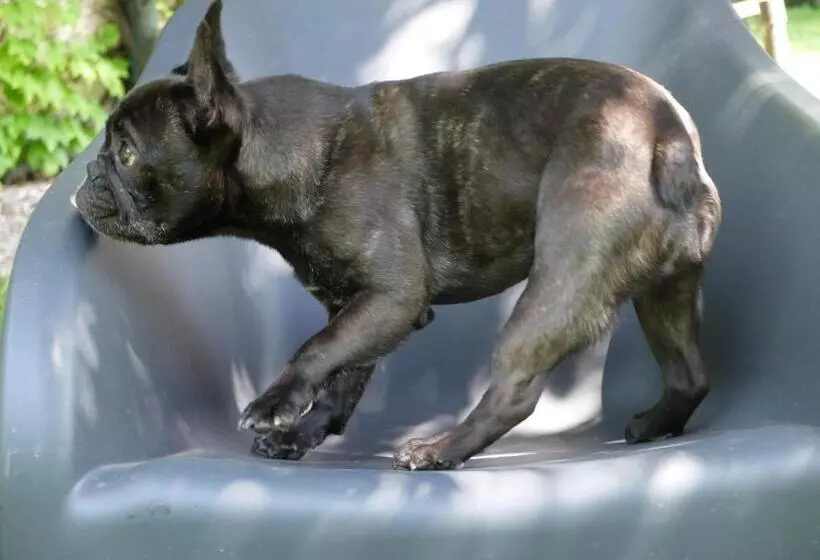 B&b Villa Dei Calchi   Suite Room Di Charme