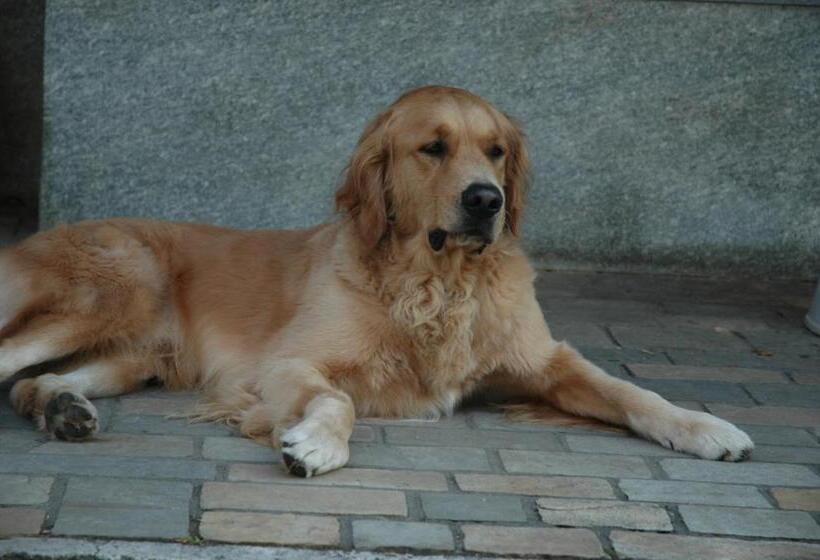 B&b Villa Dei Calchi Suite Room Di Charme