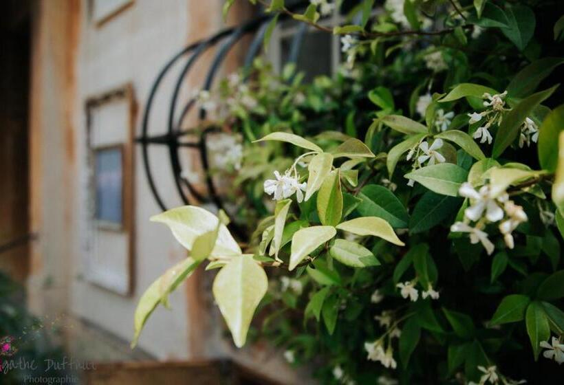 酒店 Hôtel Particulier Des Jasmins