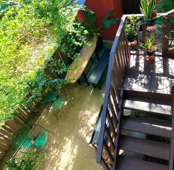 پانسیون Pura Vida Hostel