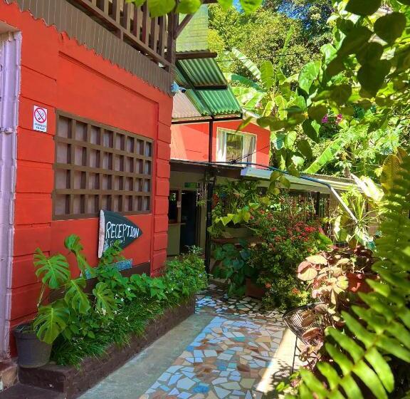 پانسیون Pura Vida Hostel