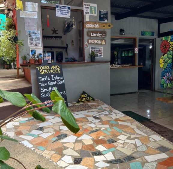 پانسیون Pura Vida Hostel