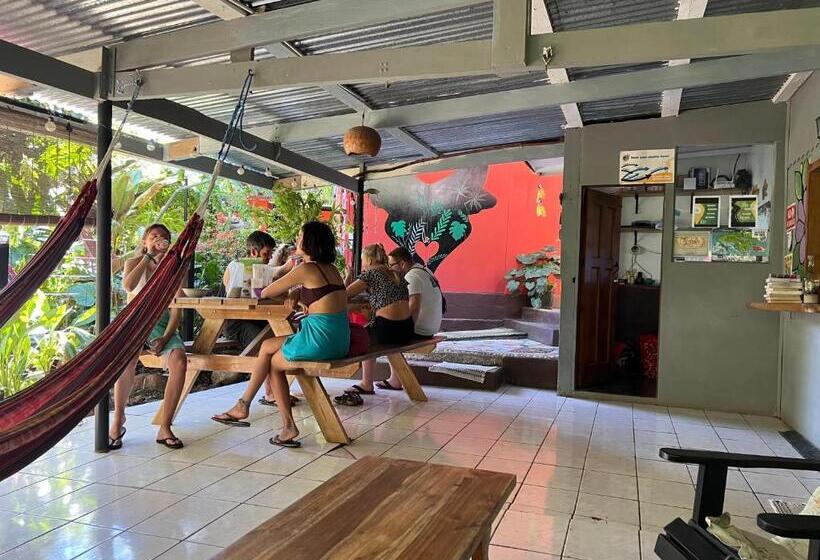 پانسیون Pura Vida Hostel