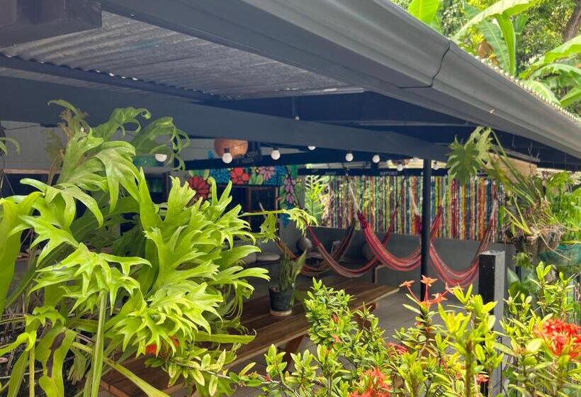 پانسیون Pura Vida Hostel