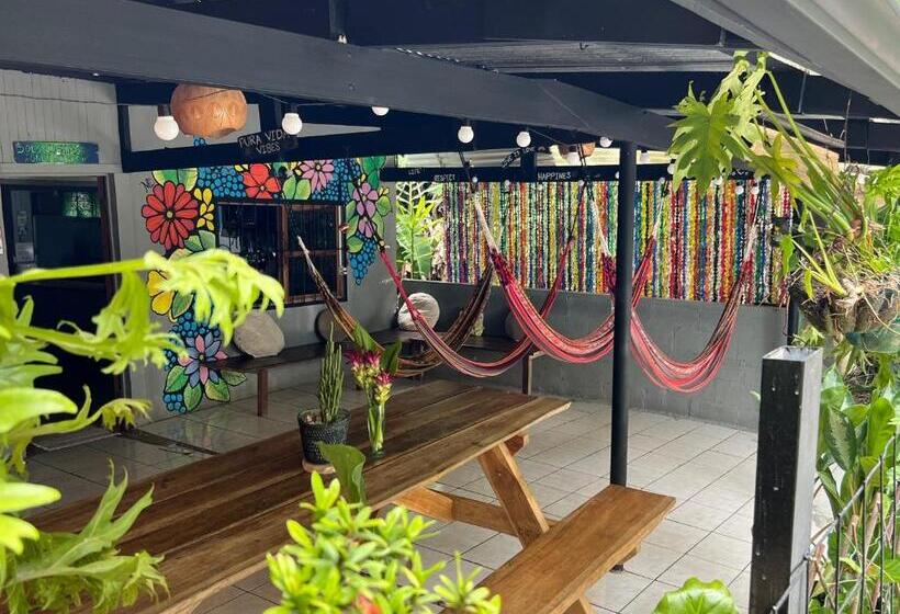 پانسیون Pura Vida Hostel