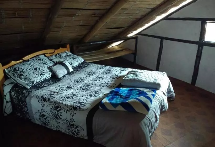 ユースホステル Casa Annunakis