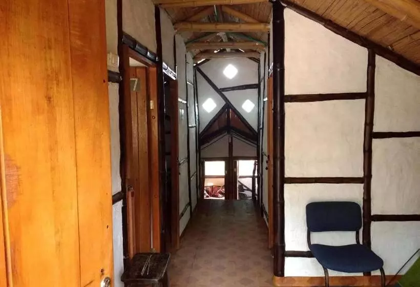 ユースホステル Casa Annunakis