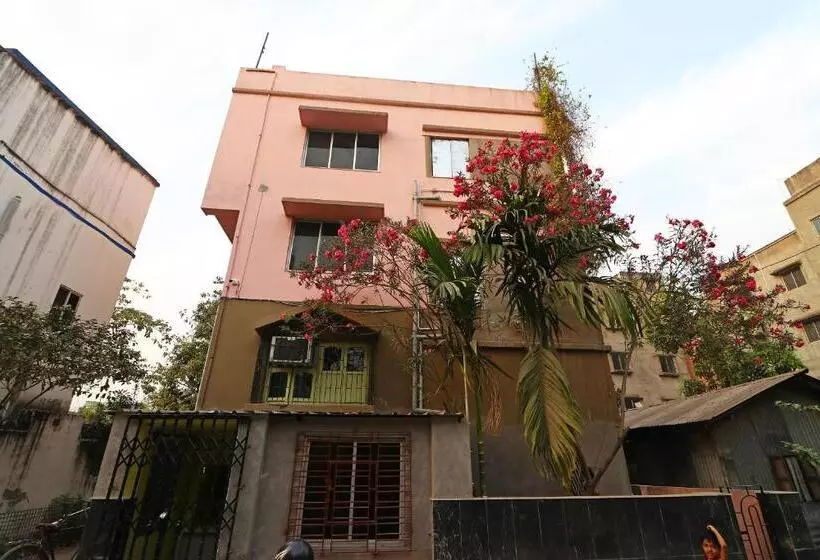 Oyo 11530 Hotel Palace