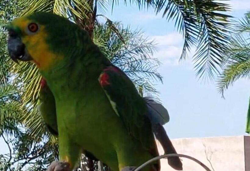Pensão Pousada Da Lua