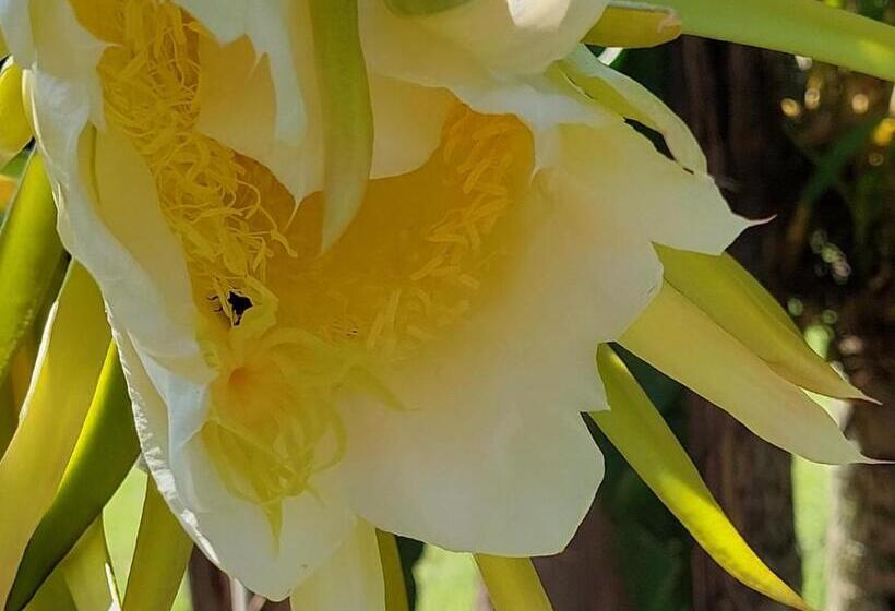 Pensão Pousada Da Lua