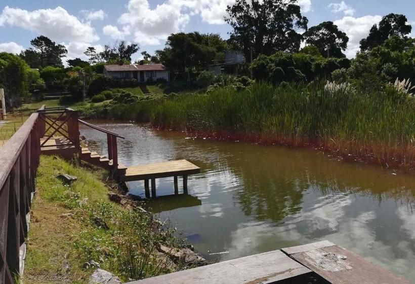 Las Martinas Apart 5