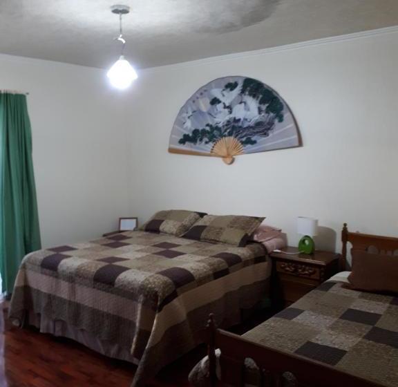 פנסיון Casa Cely