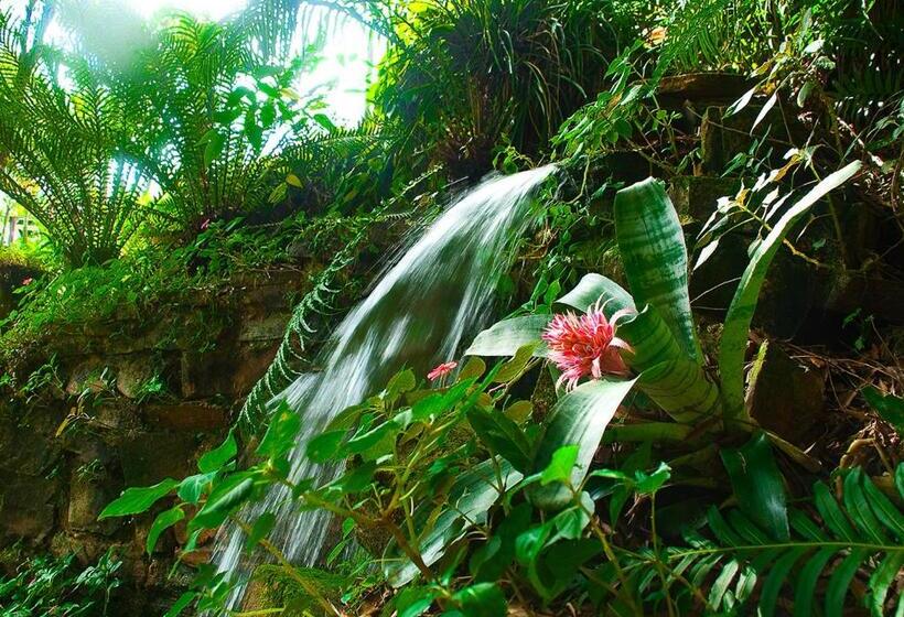 Pansiyon Mirágua Refugios Pousada