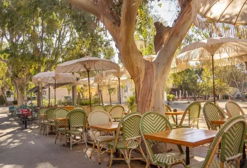 Hotel Hôtel Le Porquerollais