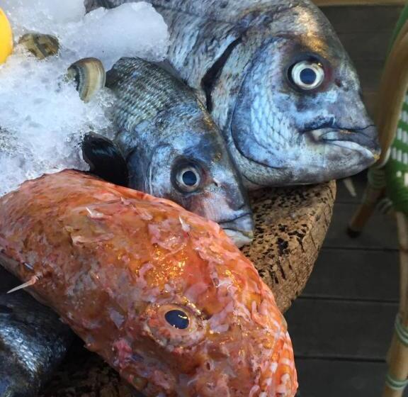 Hotel Hôtel Le Porquerollais