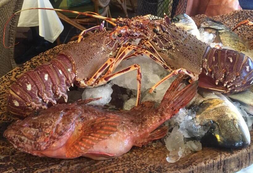 Hotel Hôtel Le Porquerollais