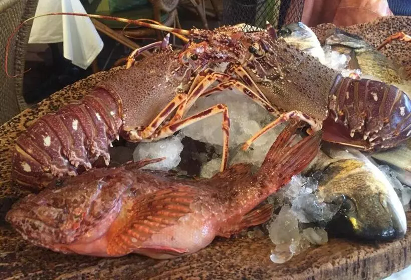 Hotel Hôtel Le Porquerollais