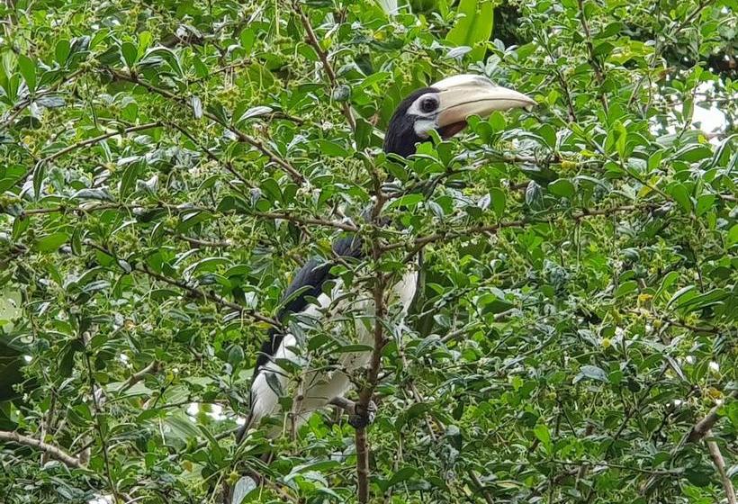 Pensionat Coconut Corner
