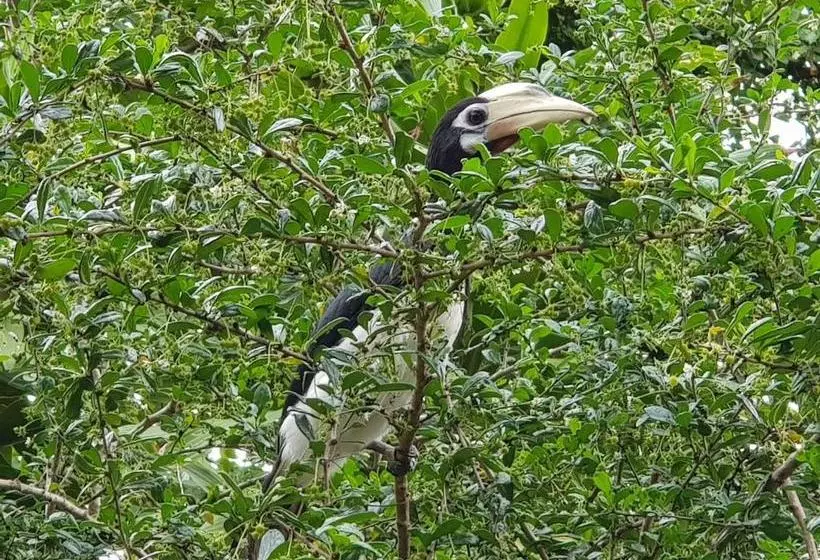 Pensiune Coconut Corner