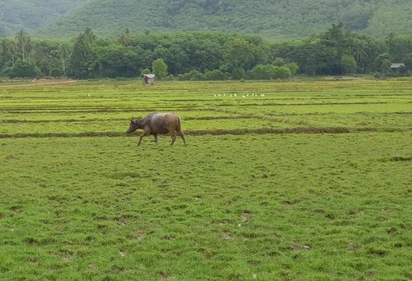 Pensionat Coconut Corner