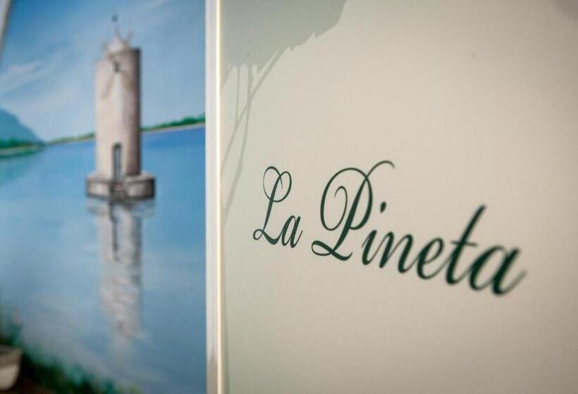 B&b La Pineta