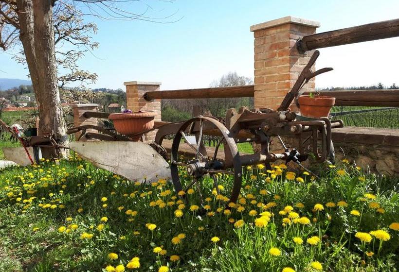 مبيت وإفطار Terre Boscaratto