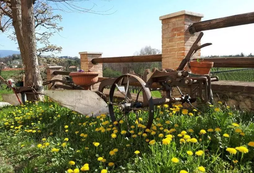 Bed and Breakfast Terre Boscaratto