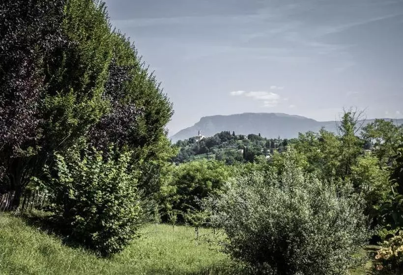 Bed and Breakfast Terre Boscaratto