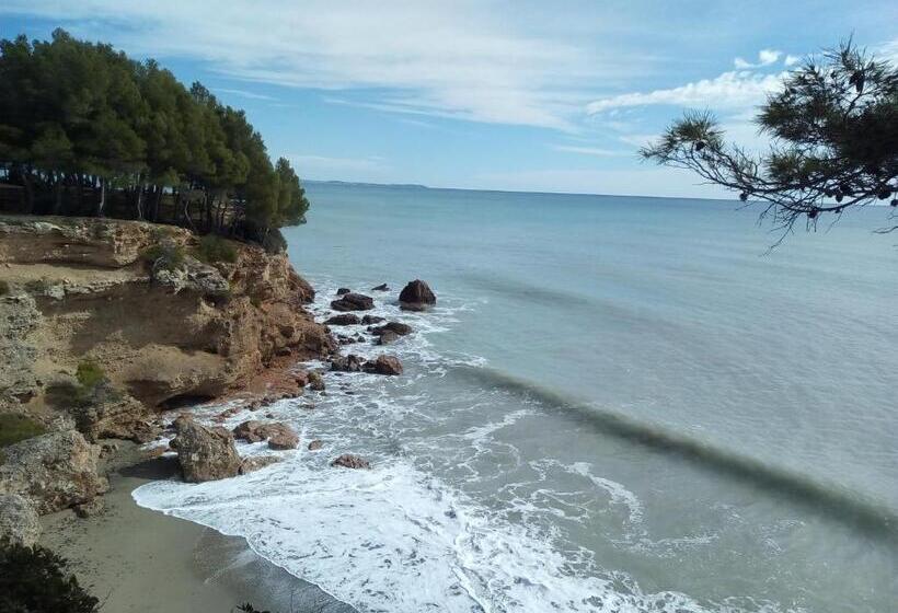 هاستل Hostal Internacional