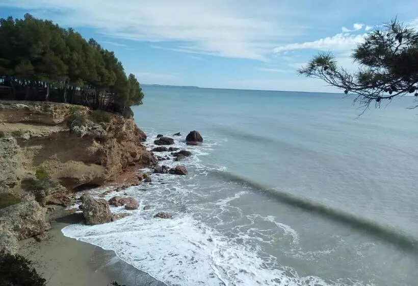 Retkeilymaja Hostal Internacional