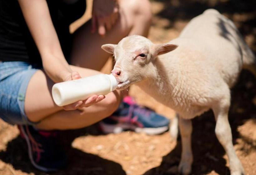 هتل Agroturismo Sa Marina