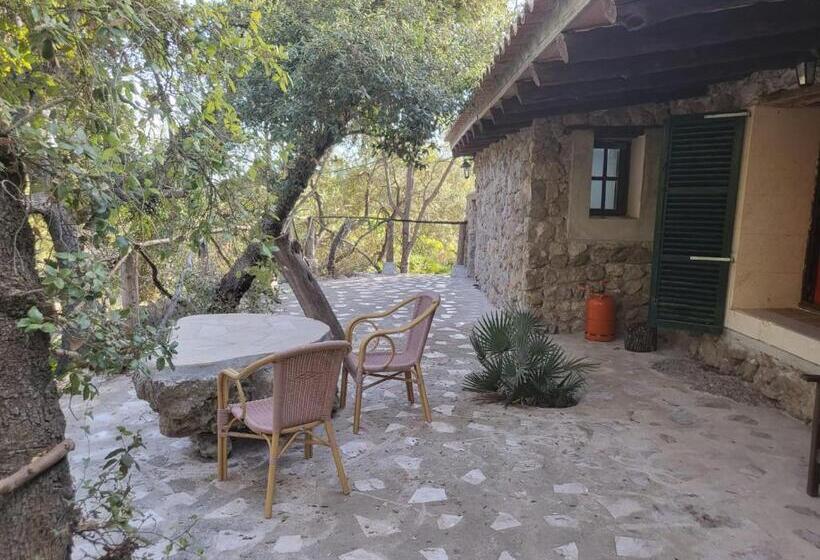 فندق Finca Sa Duaia De Dalt