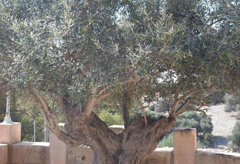 فندق Finca Sa Duaia De Dalt