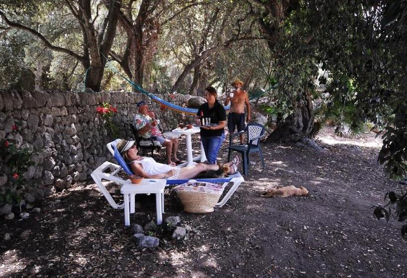 فندق Finca Sa Duaia De Dalt