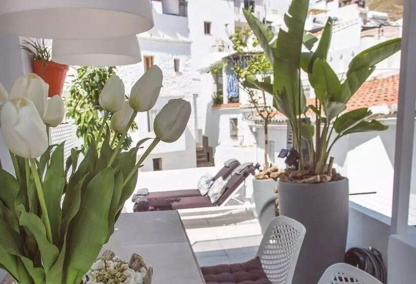 ペンション Almijara Residence