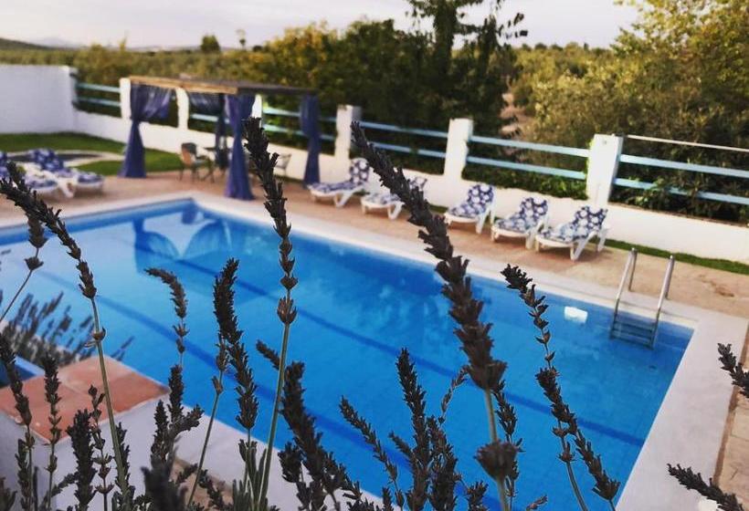 膳宿费 Alojamiento San Juan Bautista