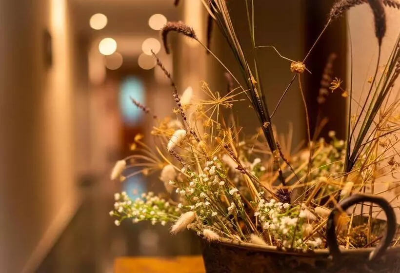 پانسیون Hostal Restaurante Ventasierra