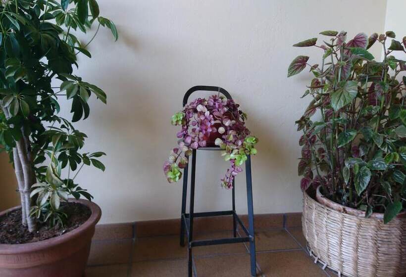 הוסטל Posada El Jardín