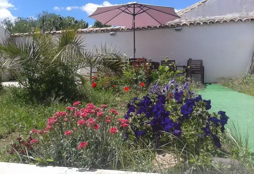 Pension Casa Oretani