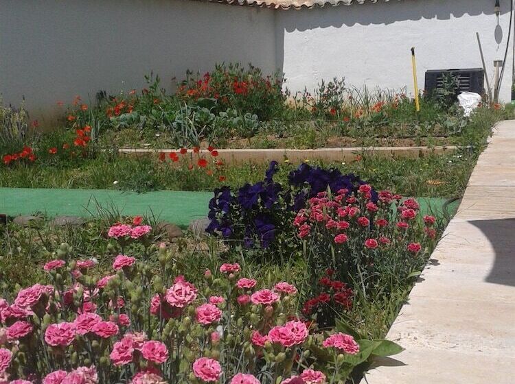 بنسيون Casa Oretani