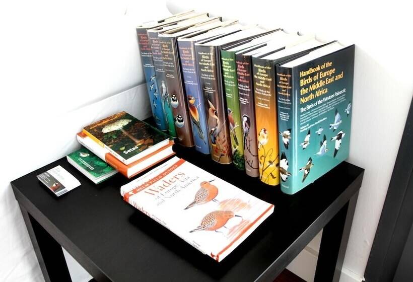 بنسيون Casa Oretani