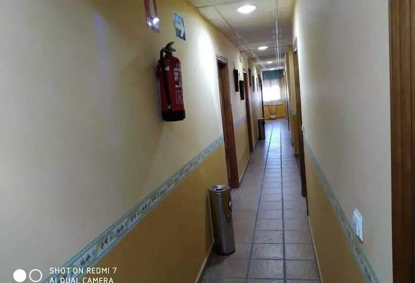 ユースホステル Hostal Restaurante El Parador